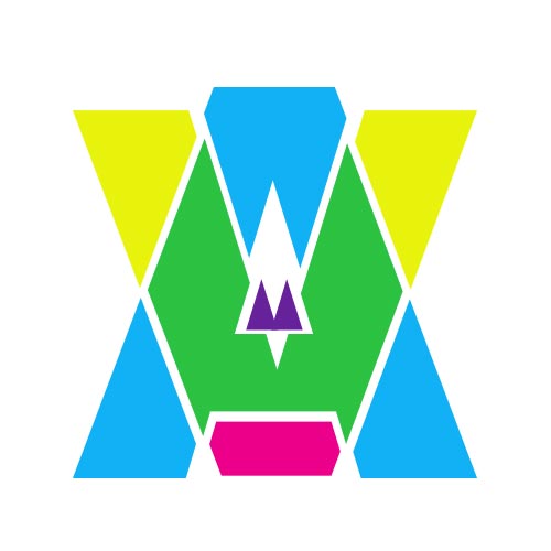 VA logo