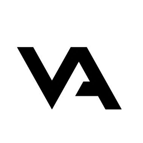 Visual Assassins logo